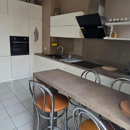 Wilda, Centrum, Duzy Z Garazem Appartement