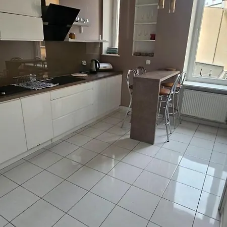 Wilda, Centrum, Duzy Z Garazem Appartement Poznań