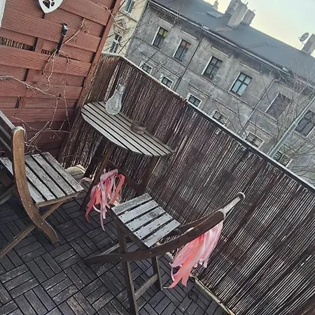 Wilda, Centrum, Duzy Z Garazem Appartement Poznań