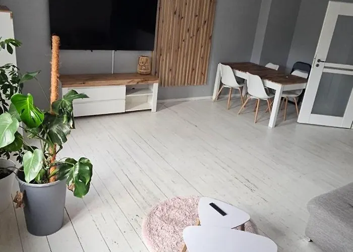 Apartament Wilda, Centrum, Duży Z Garażem *