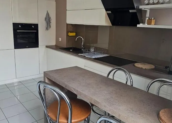 Wilda, Centrum, Duży Z Garażem Apartament