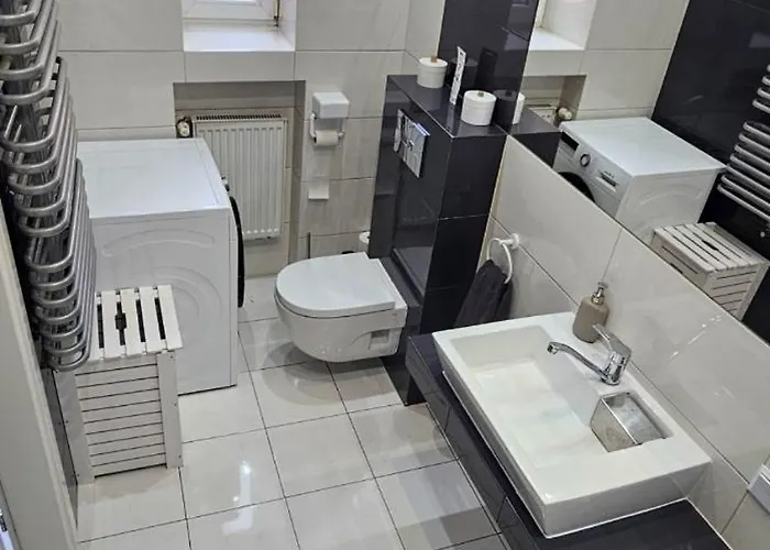 Wilda, Centrum, Duży Z Garażem * Poznań