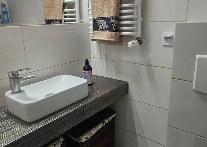 Wilda, Centrum, Duży Z Garażem Apartament *