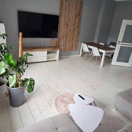 Appartement Przestronny W Centrum Poznania - Wilda *