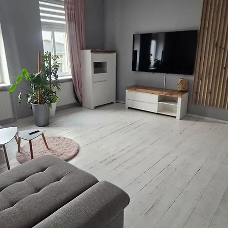 Wilda, Centrum, Duzy Z Garazem Poznań