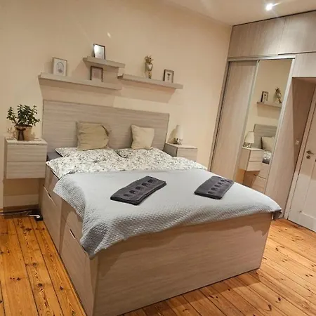 Wilda, Centrum, Duzy Z Garazem * Poznań