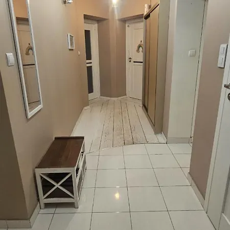 Wilda, Centrum, Duzy Z Garazem Poznań