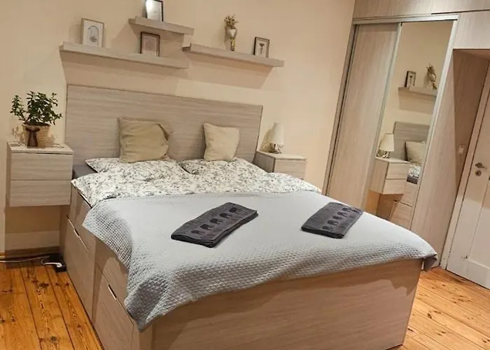 Wilda, Centrum, Duzy Z Garazem * Poznań